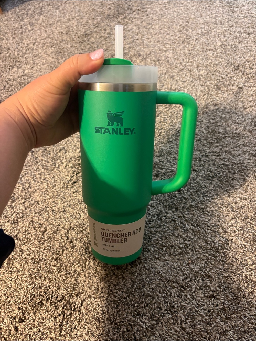 Stanley Green Quencher H2.0 Tumbler with Handle and Straw